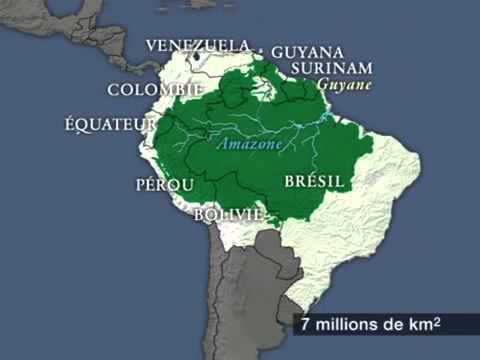 1carteamazonie.jpg